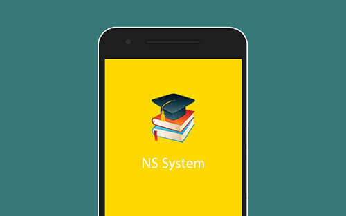 NS System
